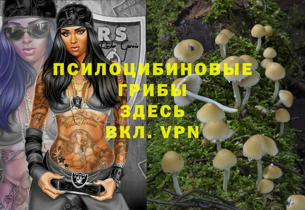 метадон Горнозаводск