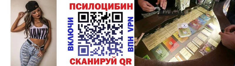 Галлюциногенные грибы GOLDEN TEACHER  darknet Telegram  Гусиноозёрск  наркота 